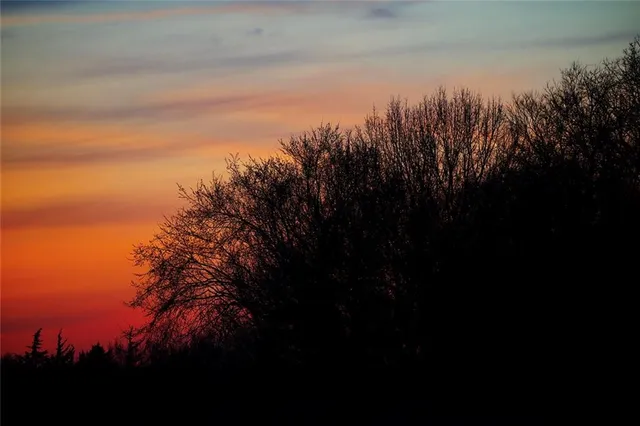 $637,000 | Tbd Southwest Tbd Sw 101st Road, Chilhowee, MO 64733