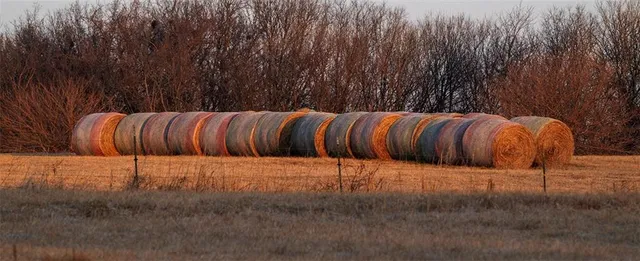 $637,000 | Tbd Southwest Tbd Sw 101st Road, Chilhowee, MO 64733