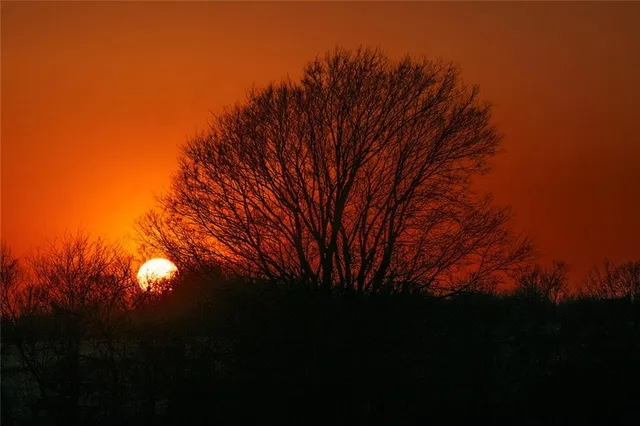 $637,000 | Tbd Southwest Tbd Sw 101st Road, Chilhowee, MO 64733