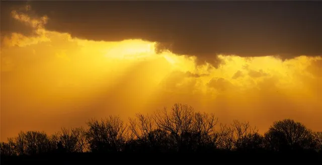 $637,000 | Tbd Southwest Tbd Sw 101st Road, Chilhowee, MO 64733