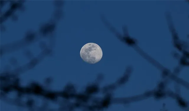 $637,000 | Tbd Southwest Tbd Sw 101st Road, Chilhowee, MO 64733