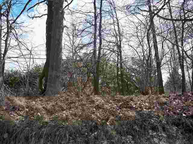 0 Eldred Road Washington, MI 48095 - Photo 1 of 4 31051548.JPG