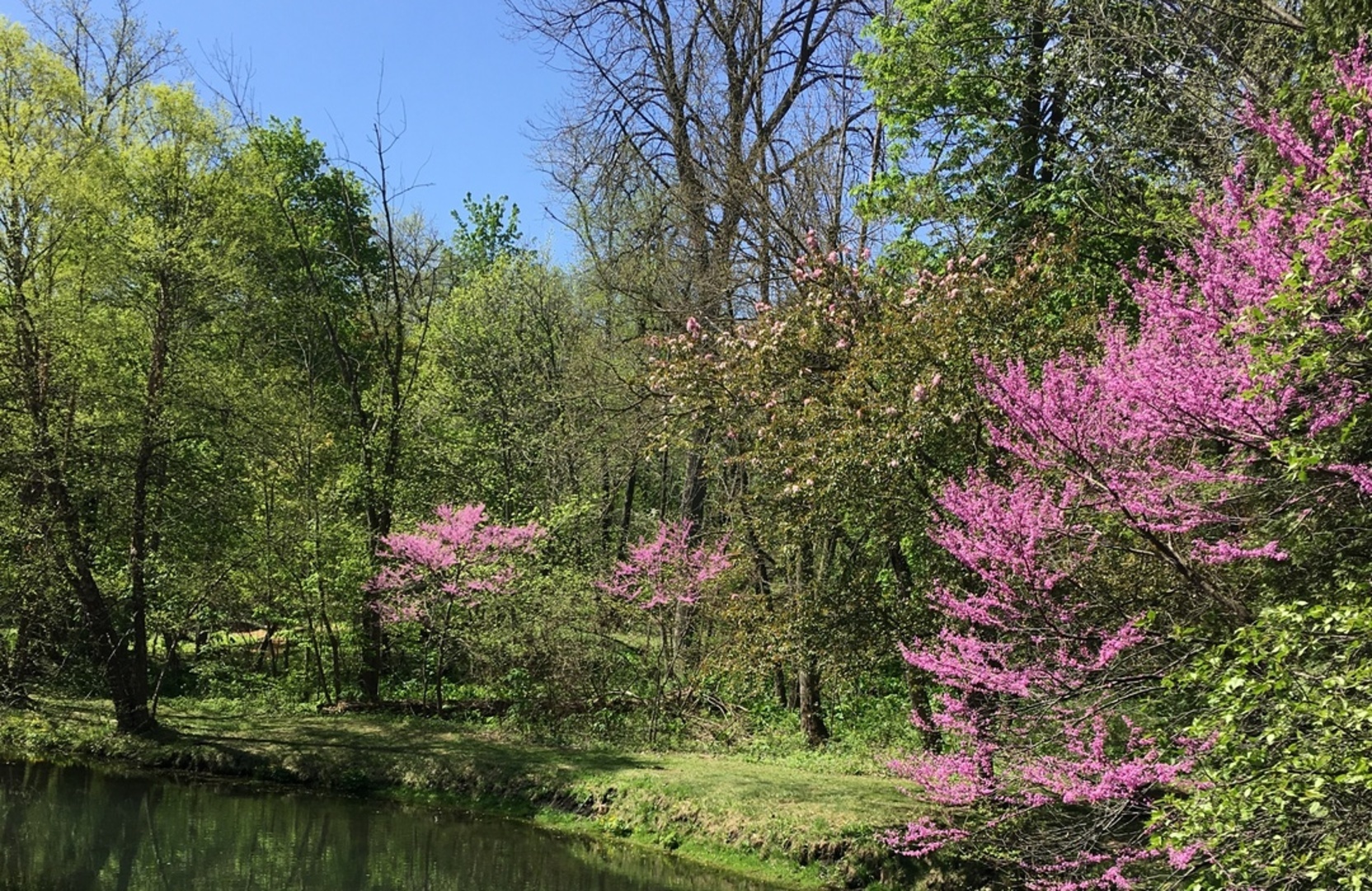 229 Valley Road Trout Valley, IL 60013 - Photo 10 of 11 a view of a flower in a garden