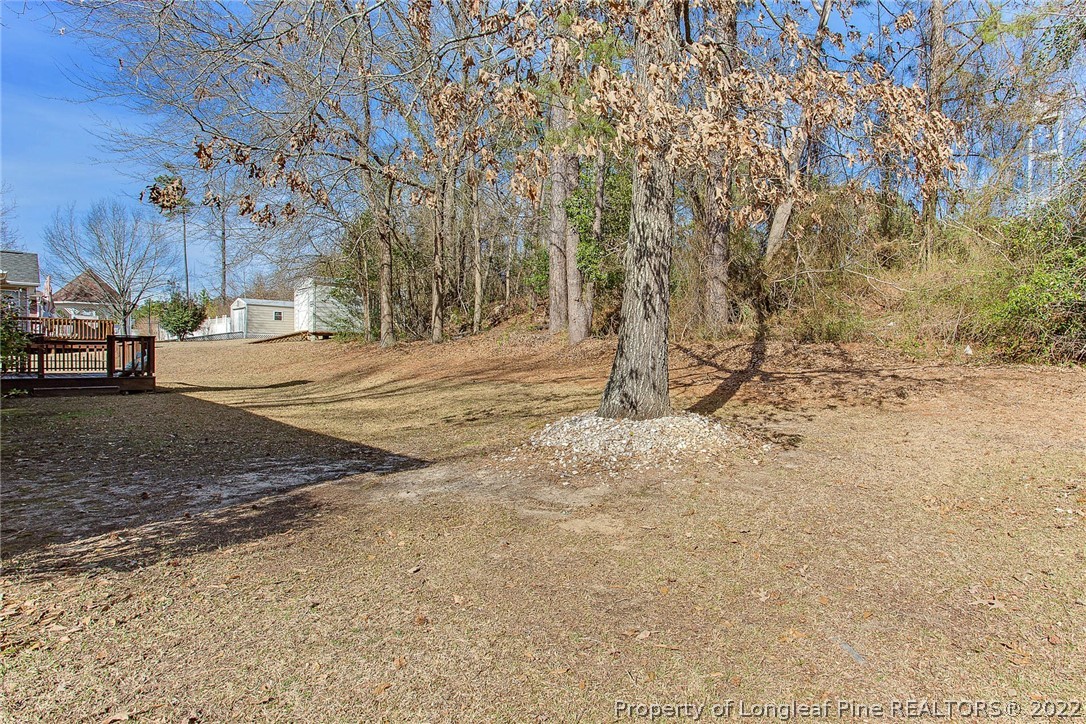 2608 Laurel Lakes Road Fayetteville, NC 28301 - Photo 28 of 32 a view of a yard with a tree