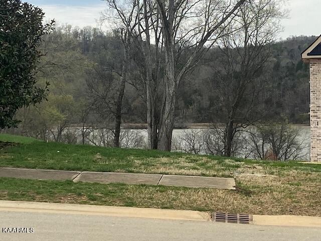 3656 Persimmon Ridge Loudon, TN 37774 - Photo 3 of 17 a view of a yard with large trees