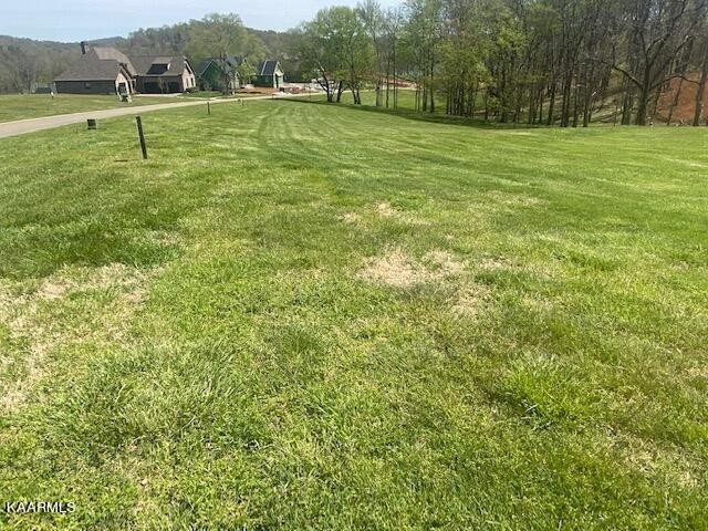 3656 Persimmon Ridge Loudon, TN 37774 - Photo 5 of 17 a view of a golf course with a lake