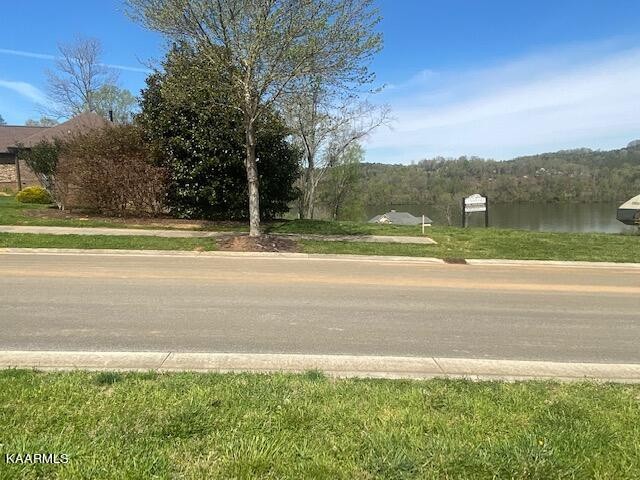 3656 Persimmon Ridge Loudon, TN 37774 - Photo 8 of 17 a view of a yard with a large tree