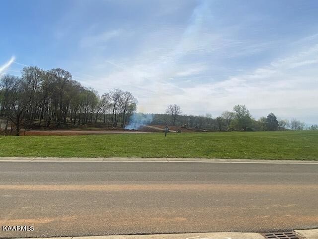 3656 Persimmon Ridge Loudon, TN 37774 - Photo 9 of 17 a view of a yard
