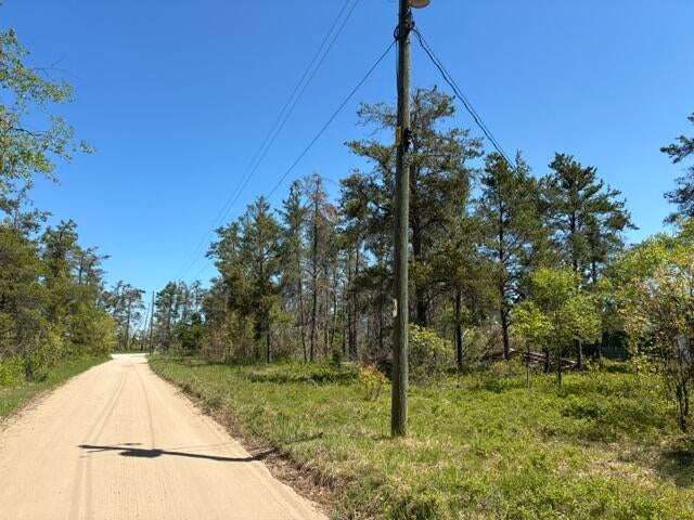 8397 Lovells Road Grayling, MI 49738 - Photo 18 of 18 Miller LWelch IMG_5478