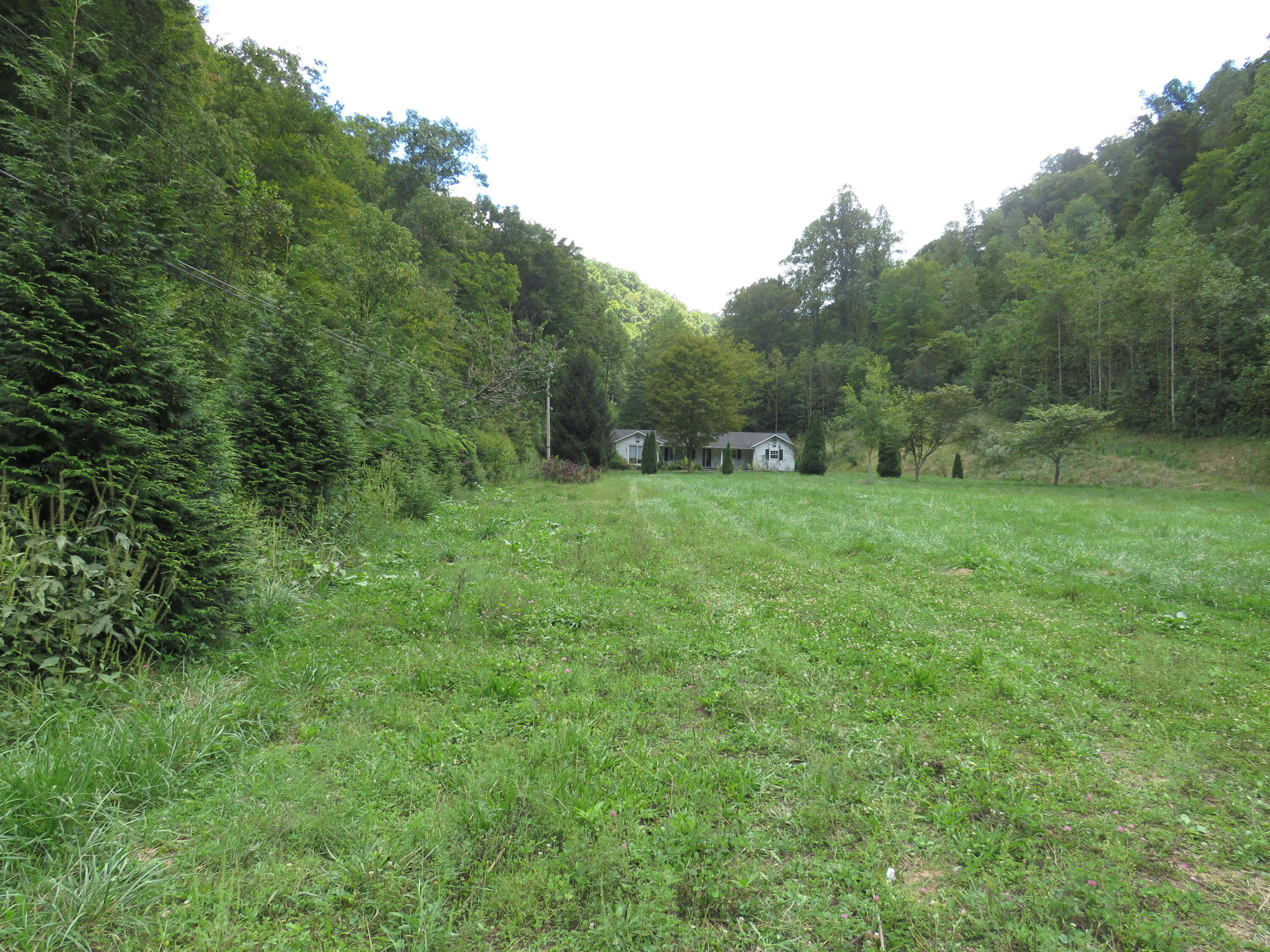 108 Lost Fork Road Manchester, KY 40962 - Photo 66 of 111 IMG_4470