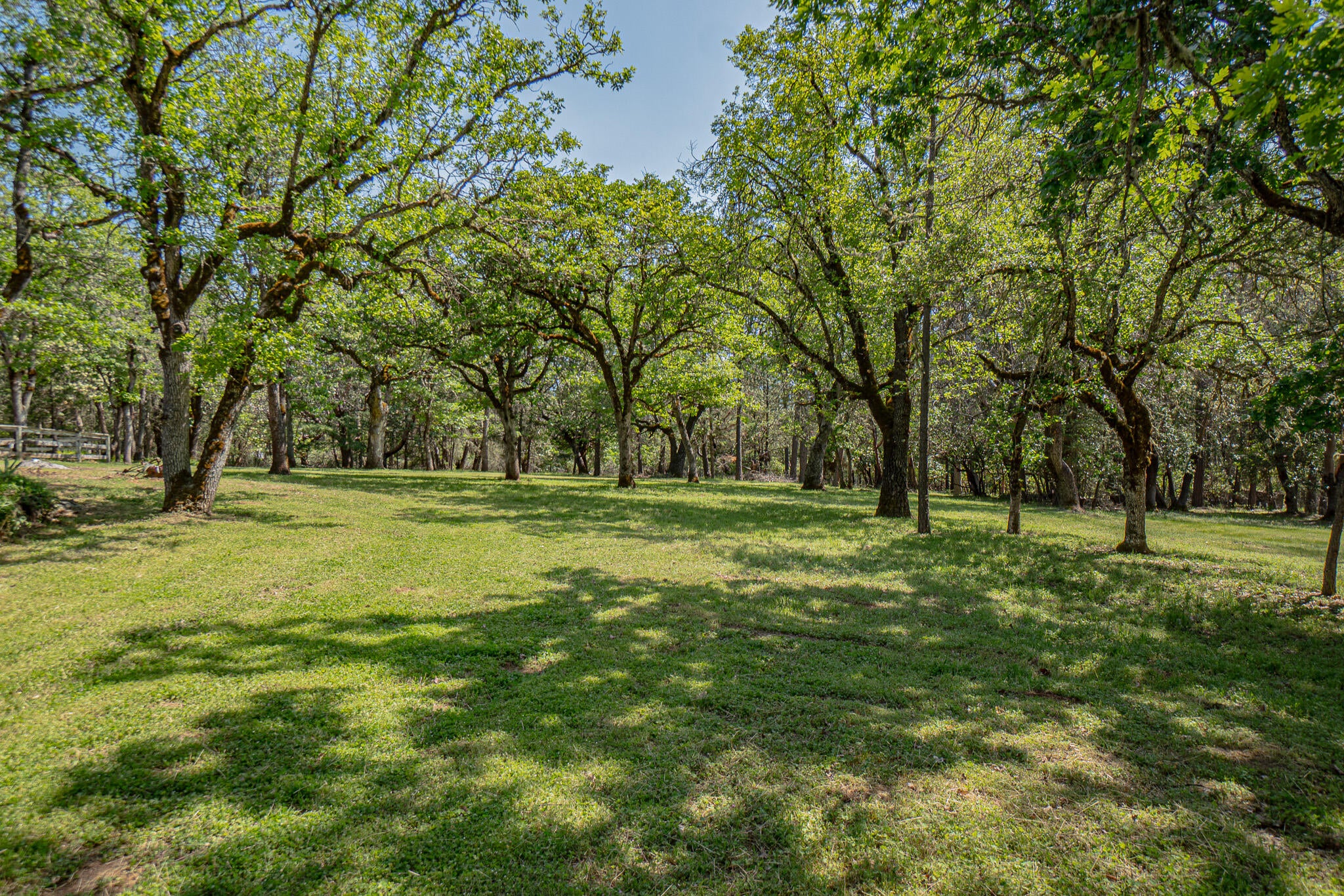 255 China Gulch Road Jacksonville, OR 97530 - Photo 32 of 47 DSC04556-HDR