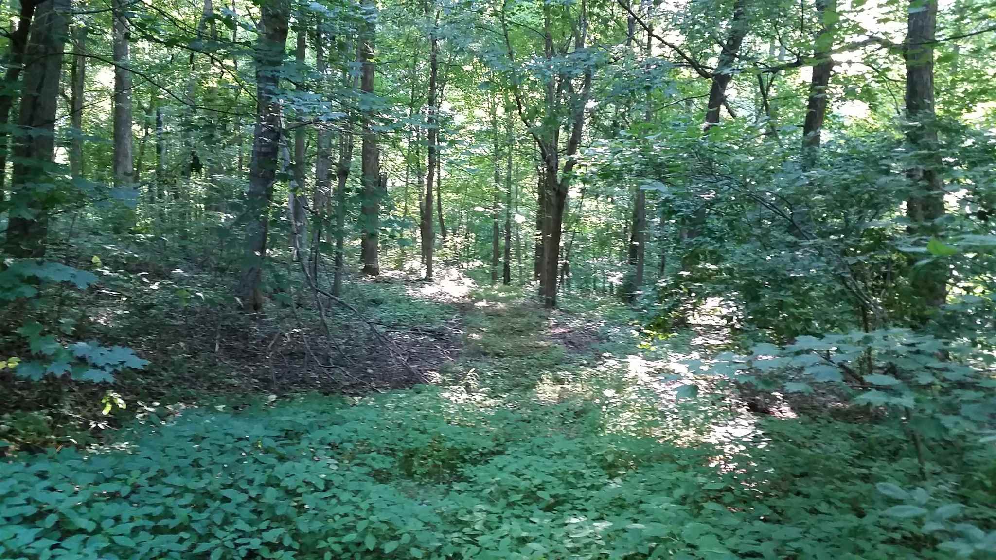 5999 South Yankeetown Road Boonville, IN 47601 - Photo 35 of 36 Gallery Image 35