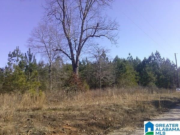 3.5-acre Lot 3.5-acre Road Lineville, AL 36266 - Photo 1 of 2