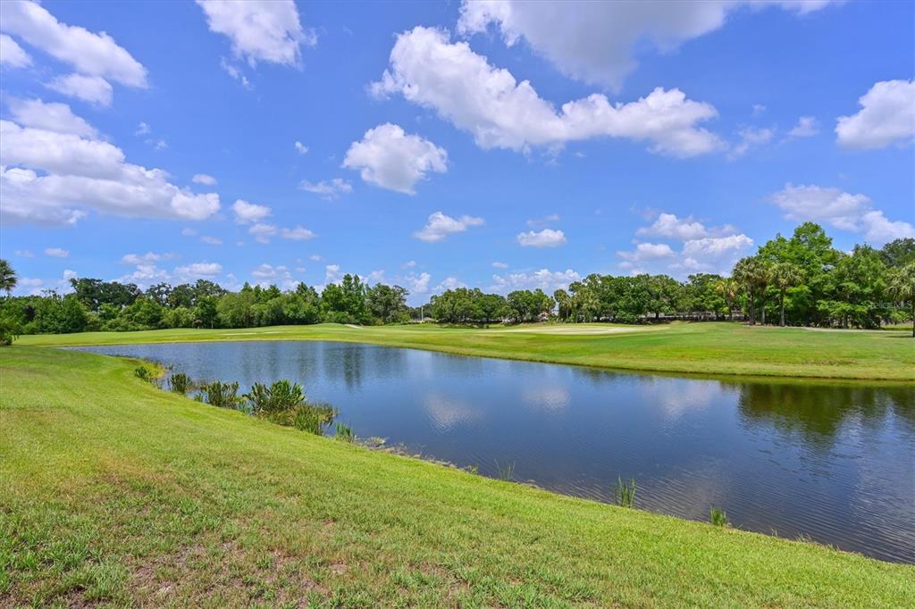 10622 Conch Shell Terrace Bradenton, FL 34212 - Photo 49 of 69
