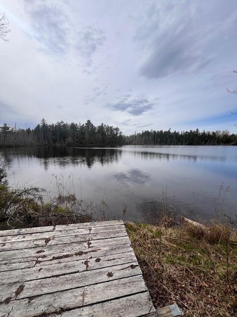 15 Hunter Pond Road Linneus, ME 04730 - Photo 24 of 25 IMG_0559