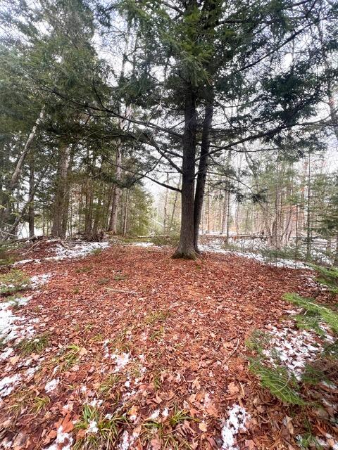 15 Hunter Pond Road Linneus, ME 04730 - Photo 29 of 32 IMG_8328