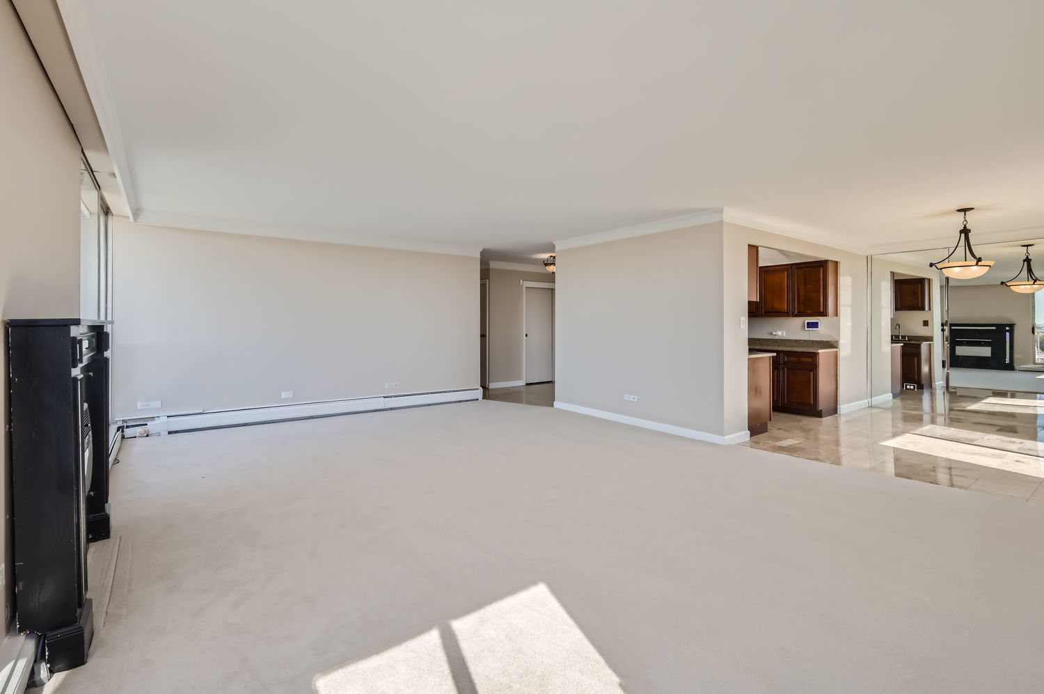 20 North Tower Road, Unit 12M Oak Brook, IL 60523 - Photo 9 of 28 a view of empty room with wooden floor and fireplace