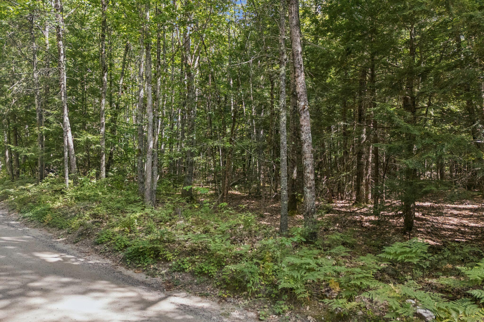 Tbd Knudsen Road Gray, ME 04039 - Photo 7 of 15 DJI_20260826021924_0192_D