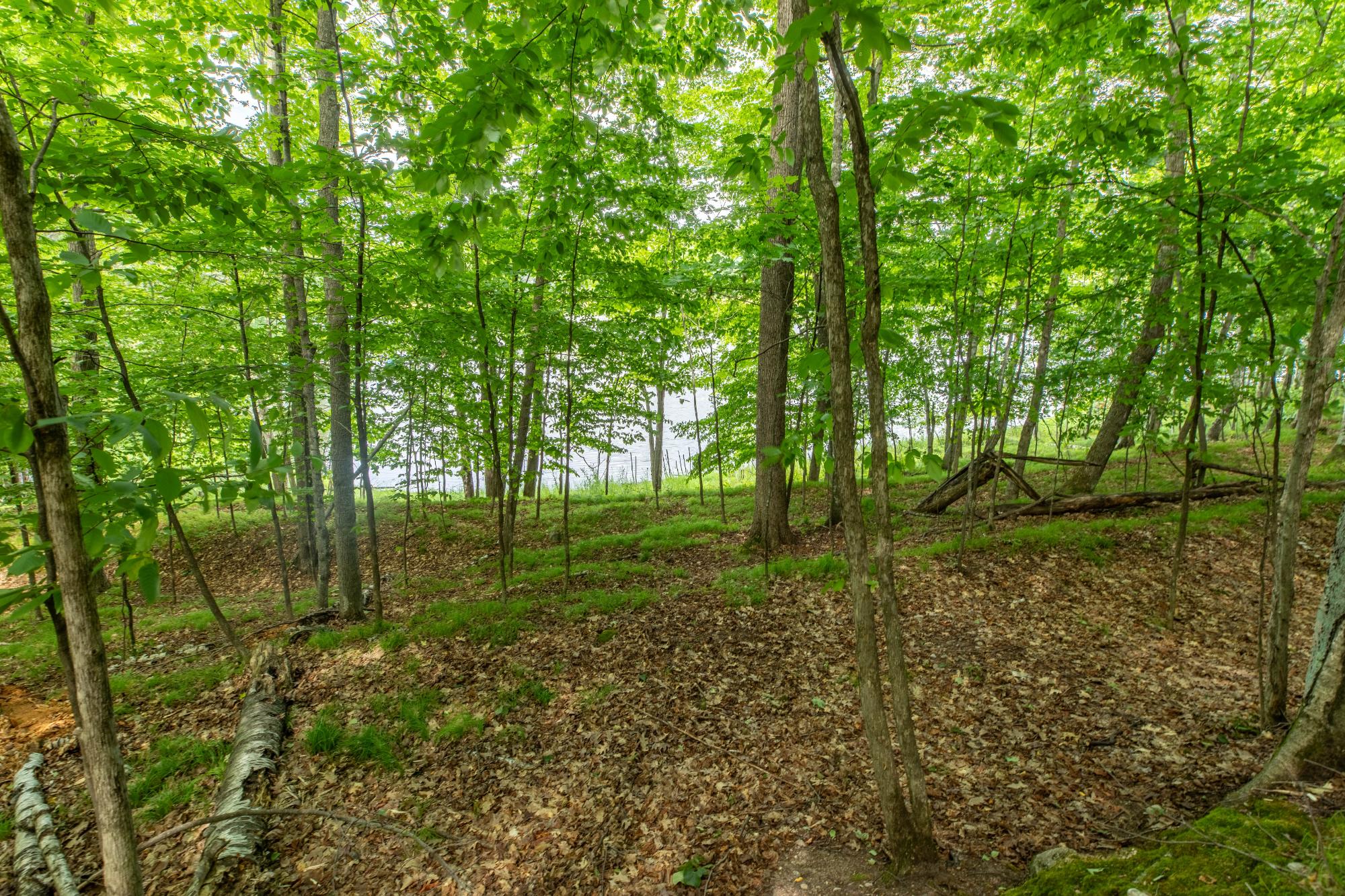 Lot Round Round Lake Road Rhinelander, WI 54501 - Photo 8 of 19 Gallery Image 8
