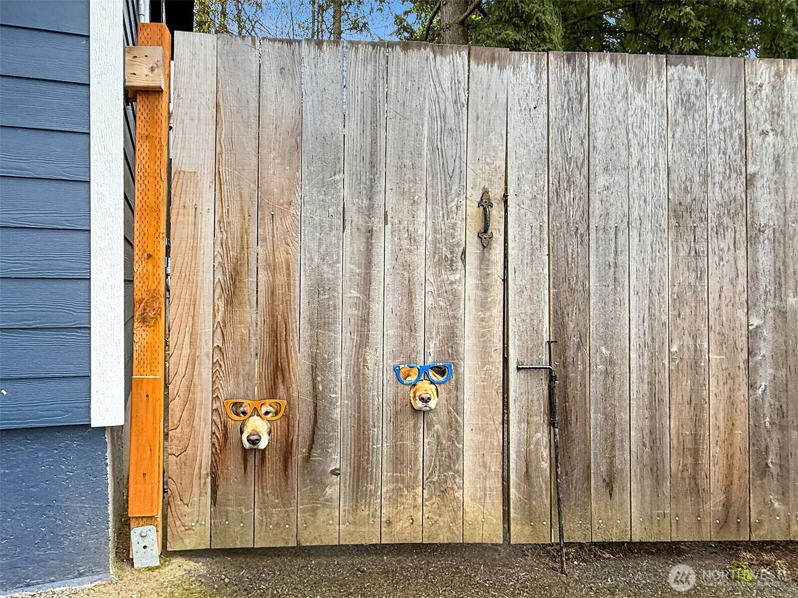 23705 7th Avenue West Bothell, WA 98021 - Photo 4 of 40