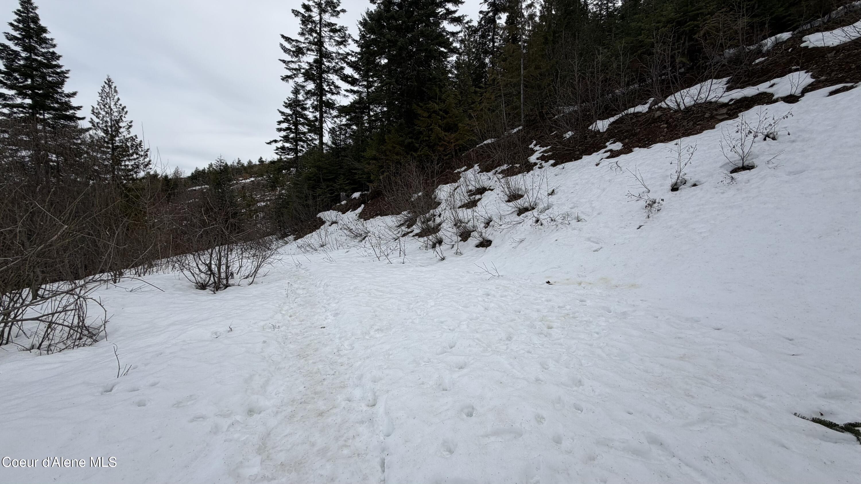 193 Wildflower Road St. Maries, ID 83861 - Photo 22 of 44 IMG_1294