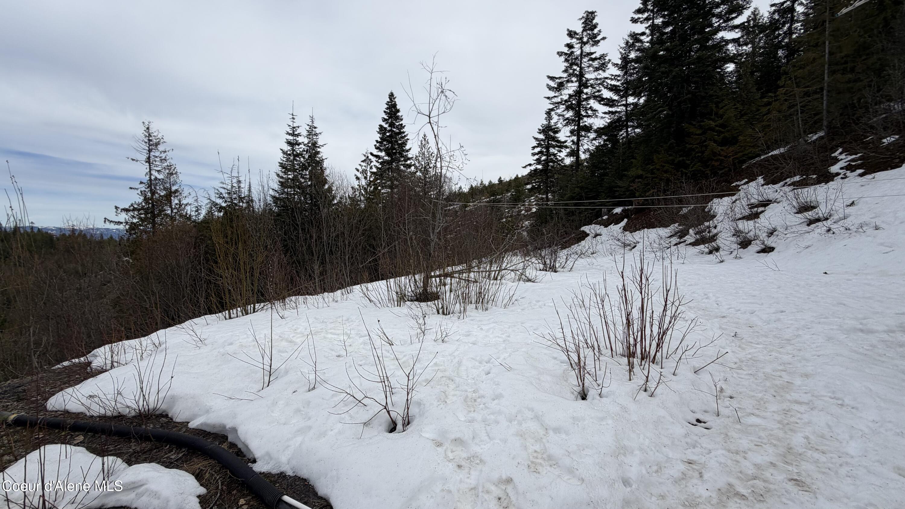 193 Wildflower Road St. Maries, ID 83861 - Photo 25 of 44 IMG_1292