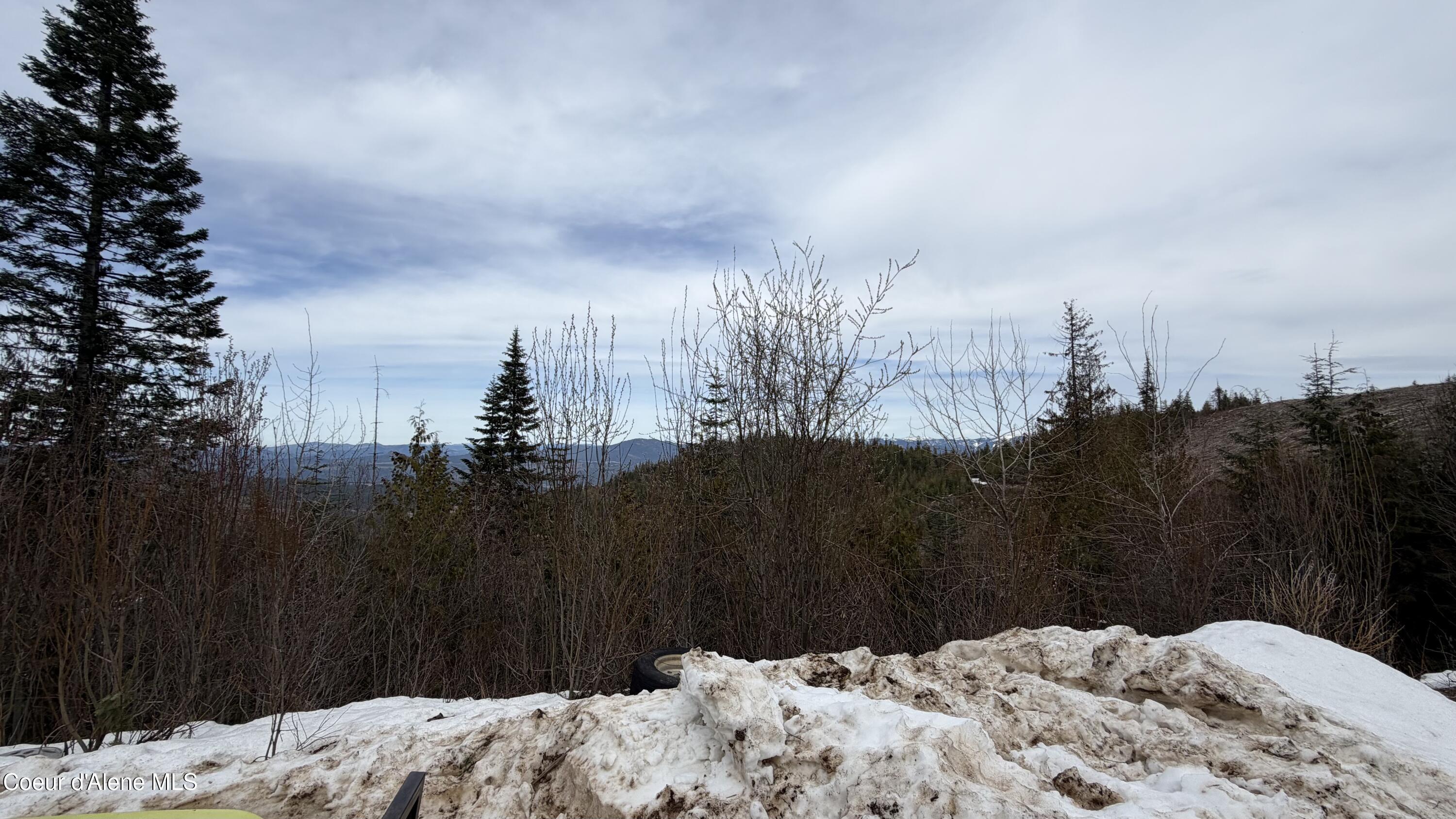 193 Wildflower Road St. Maries, ID 83861 - Photo 27 of 44 IMG_1289