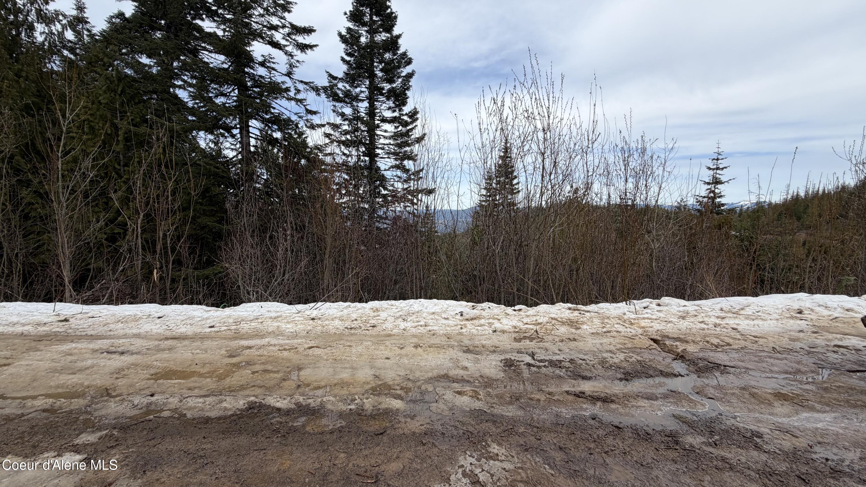 193 Wildflower Road St. Maries, ID 83861 - Photo 29 of 44 IMG_1285