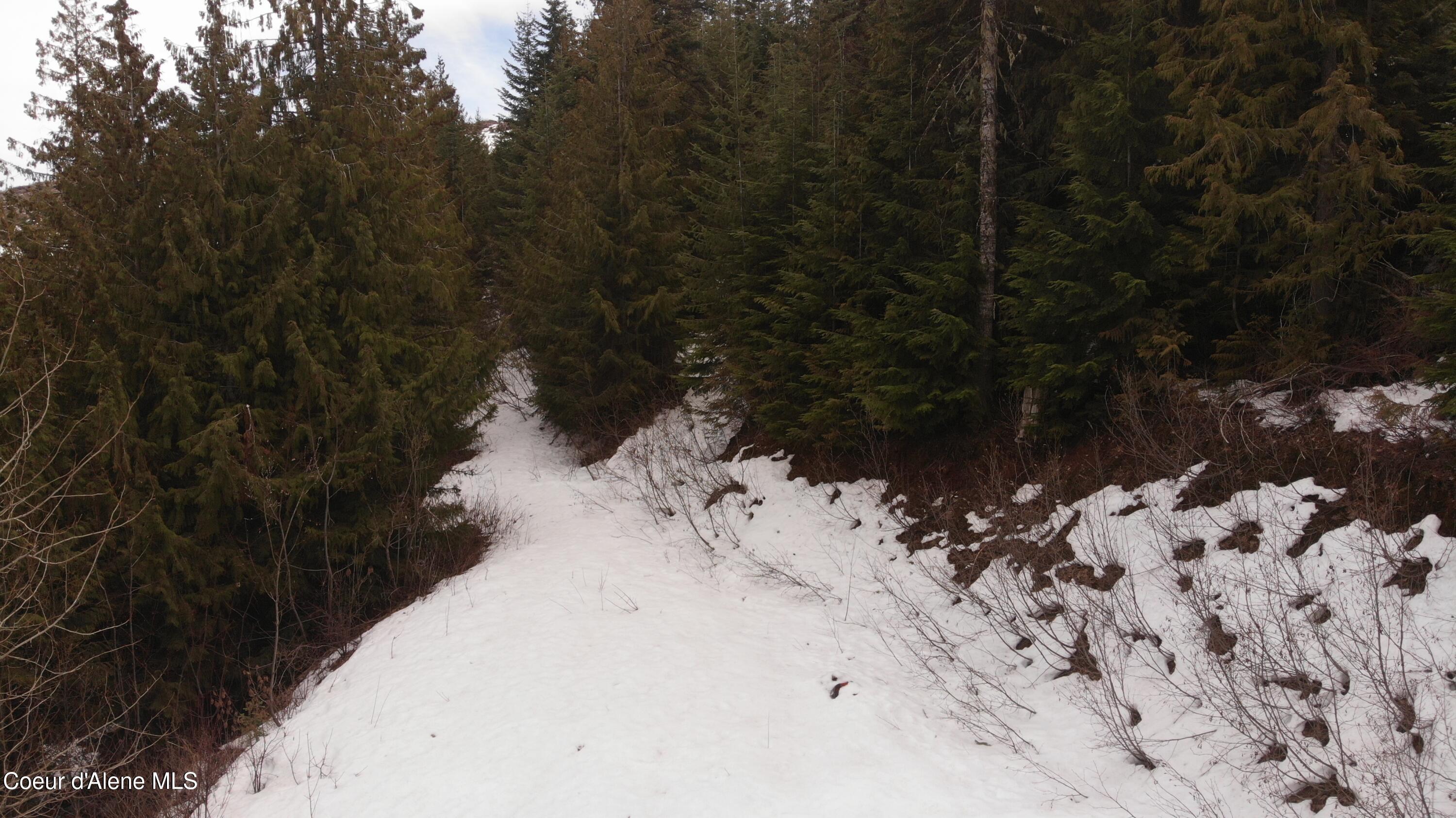 193 Wildflower Road St. Maries, ID 83861 - Photo 30 of 44 DJI_0234