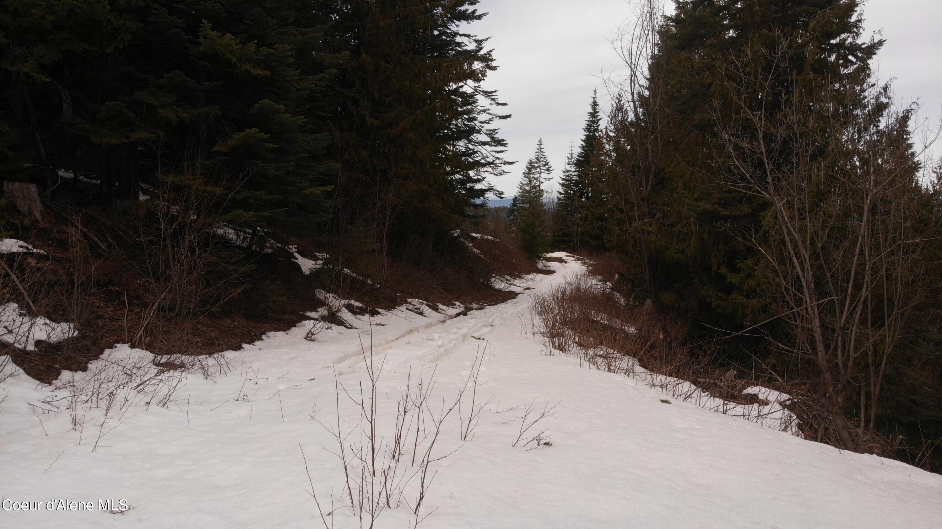 193 Wildflower Road St. Maries, ID 83861 - Photo 31 of 44 DJI_0236