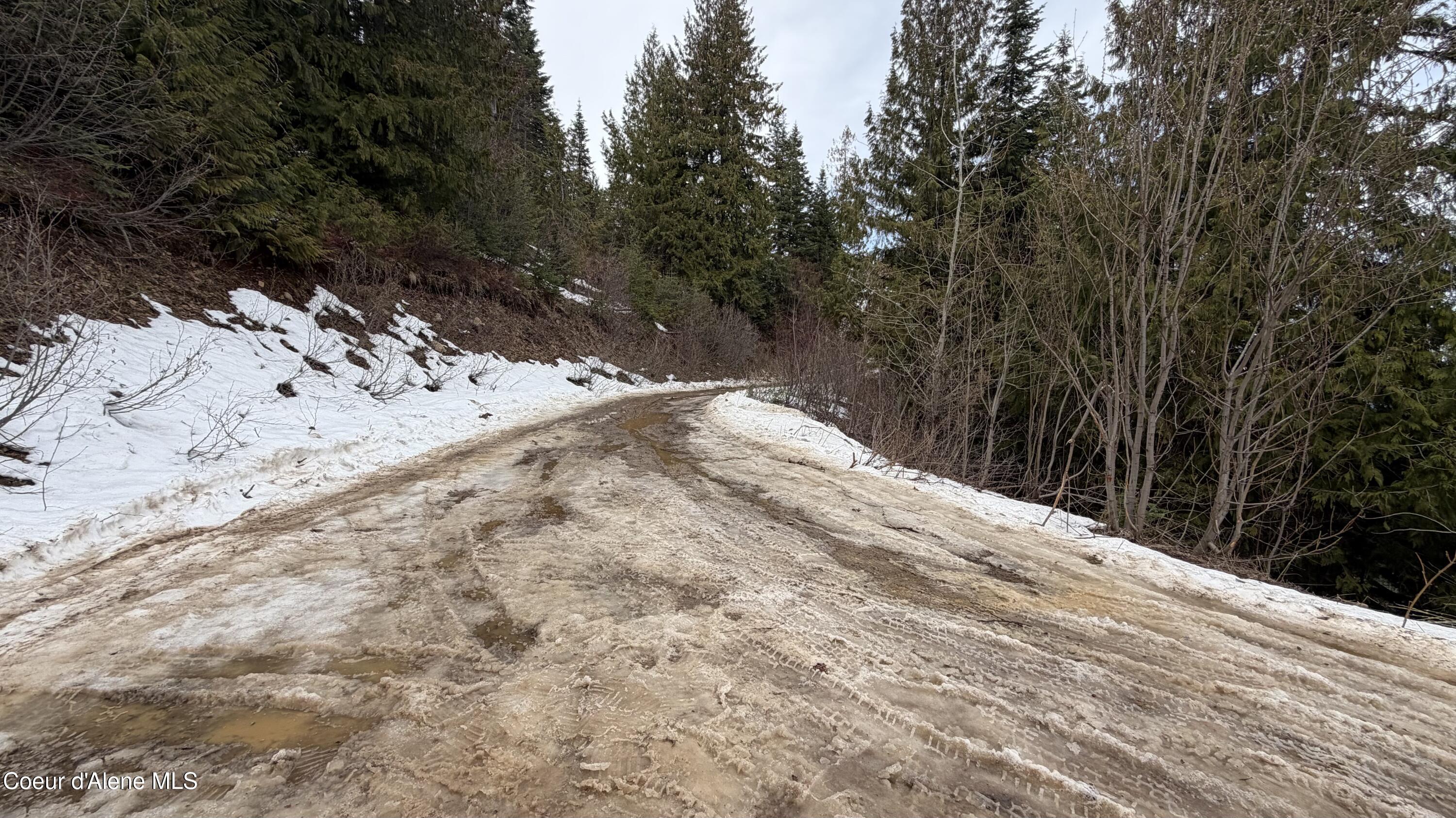 193 Wildflower Road St. Maries, ID 83861 - Photo 32 of 44 IMG_1282