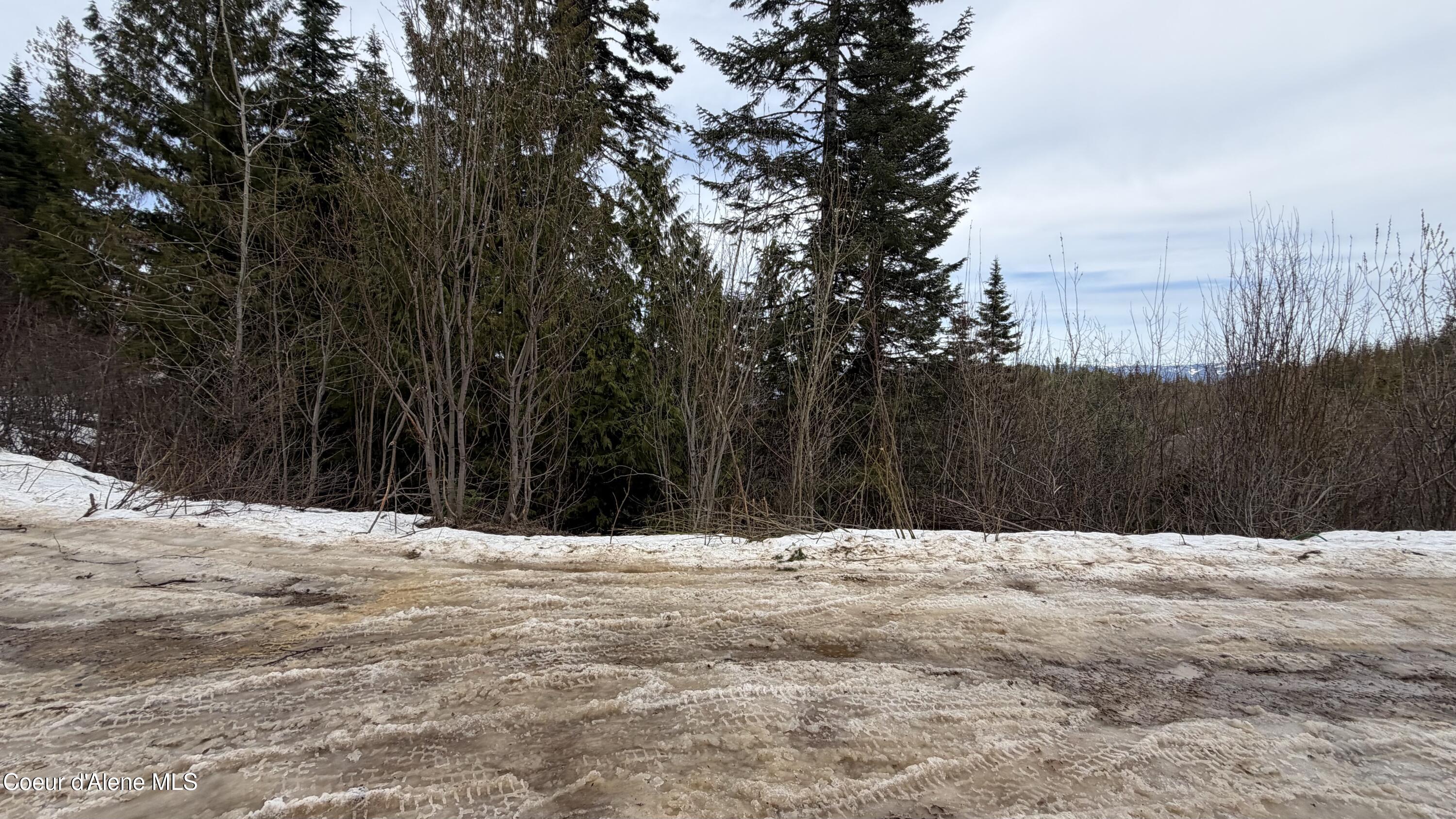 193 Wildflower Road St. Maries, ID 83861 - Photo 33 of 44 IMG_1283