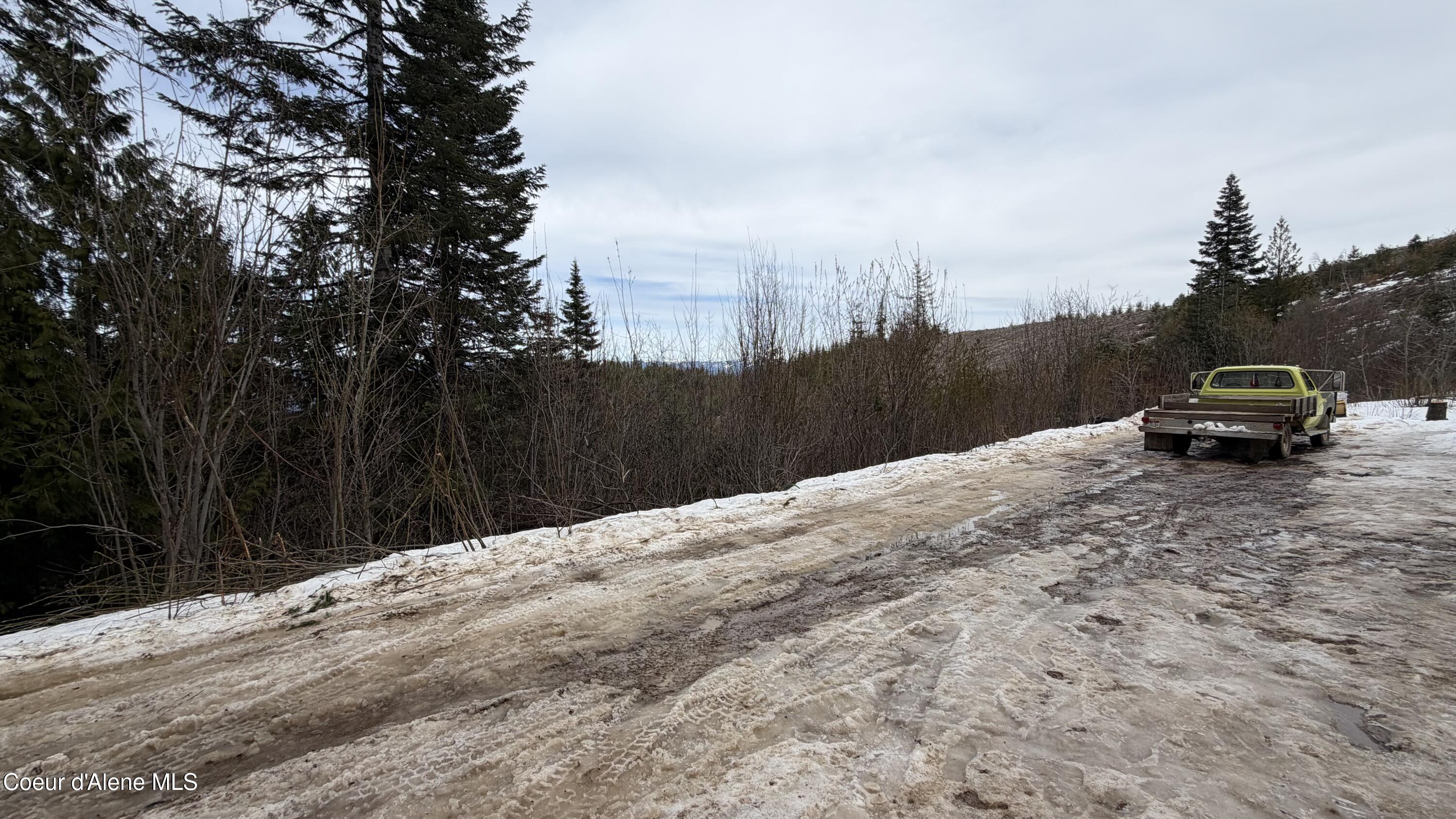 193 Wildflower Road St. Maries, ID 83861 - Photo 34 of 44 IMG_1284