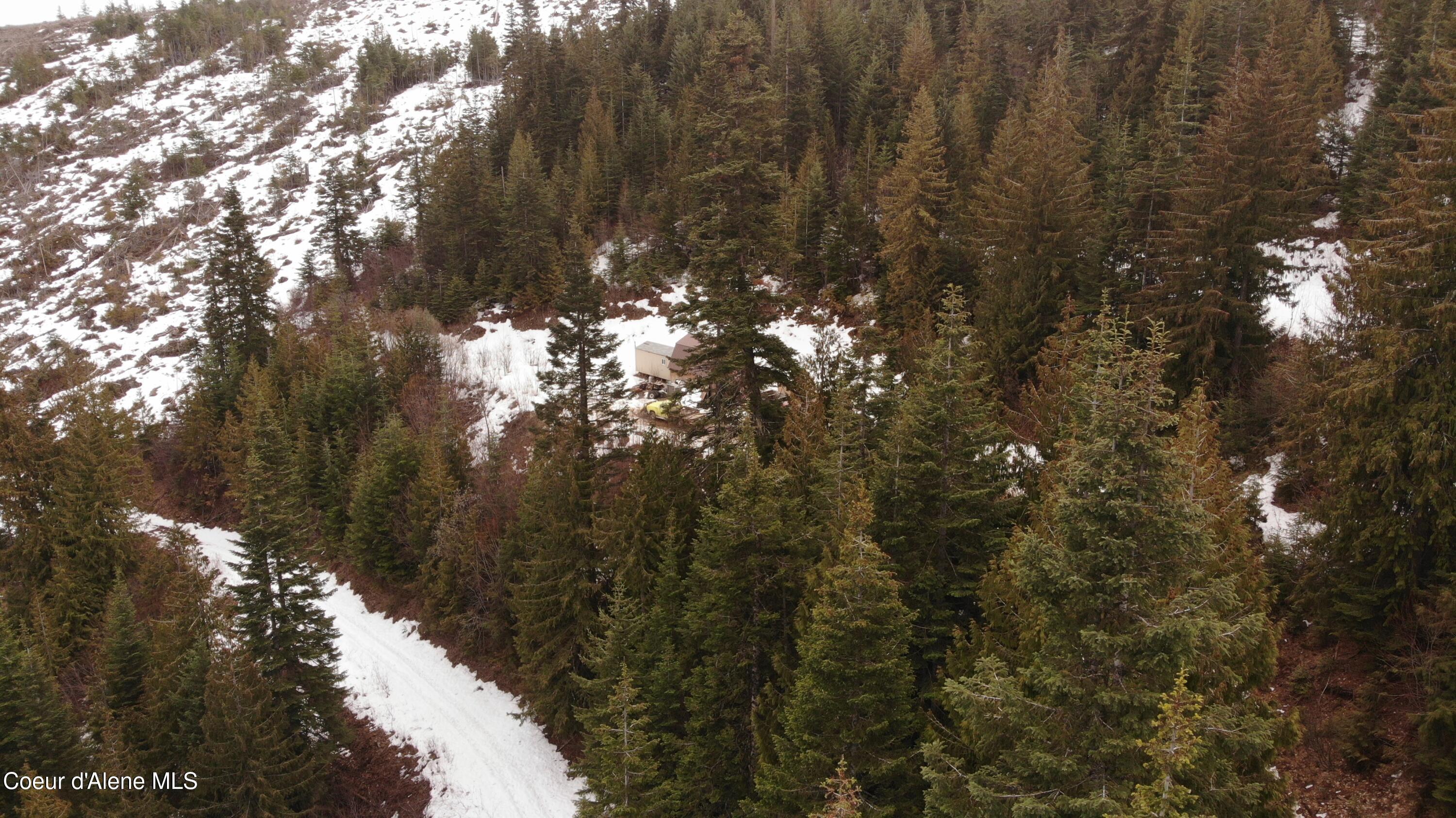 193 Wildflower Road St. Maries, ID 83861 - Photo 43 of 44 DJI_0243