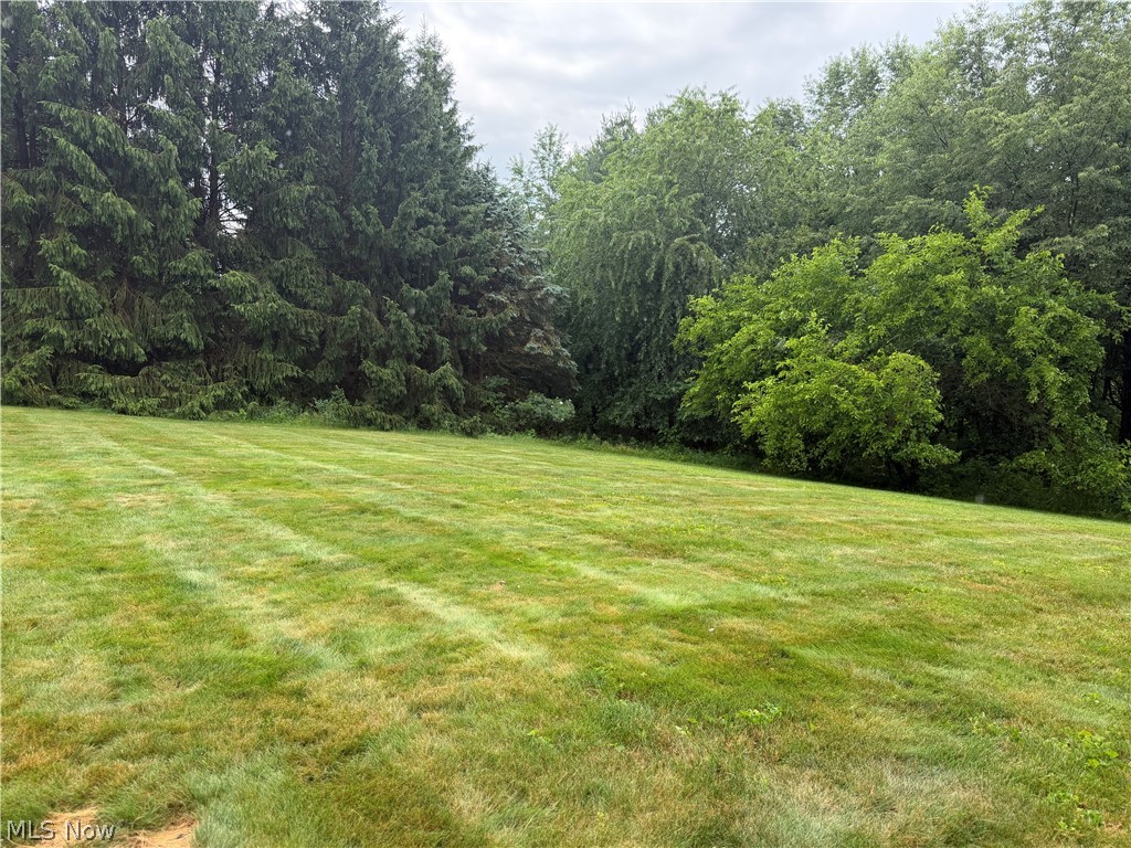 9399 Stump Road Minerva, OH 44657 - Photo 17 of 47