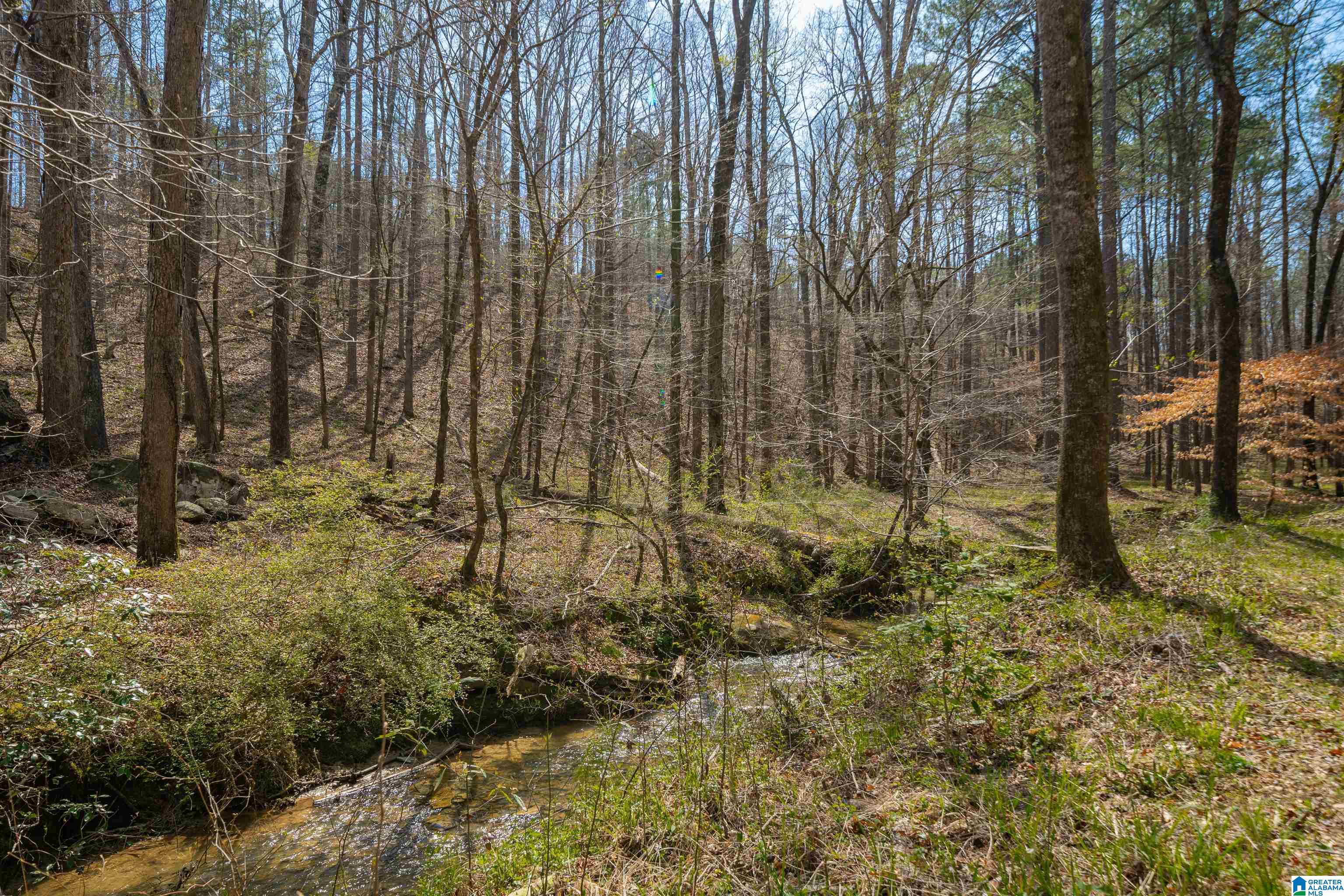184 Sequoyah Road Pell City, AL 35128 - Photo 28 of 46