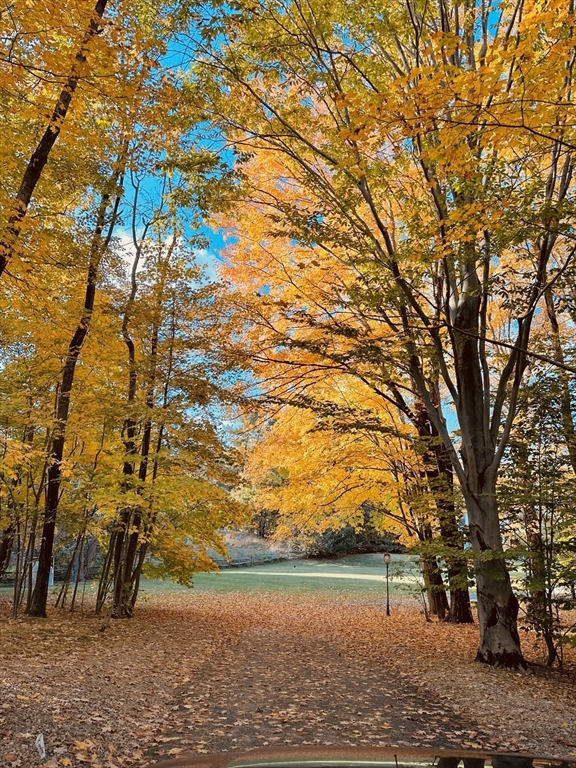 427 Hillside Street Milton, MA 02186 - Photo 40 of 42 a view of an outdoor space with a lake view