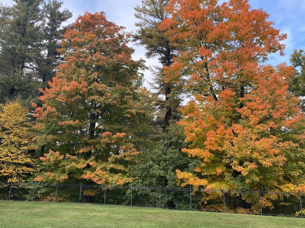 427 Hillside Street Milton, MA 02186 - Photo 42 of 42 a view of a yard