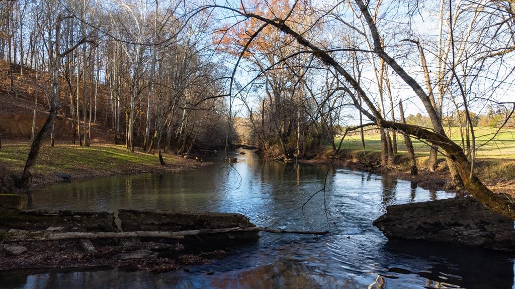 0 Athens Road Calhoun, TN 37309 - Photo 22 of 25