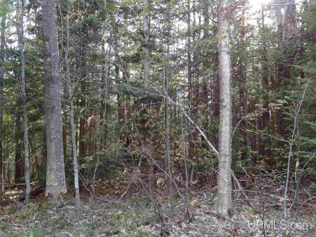 Tbd Rauhala Road, Unit PARCEL 3 Atlantic Mine, MI 49931 - Photo 11 of 19