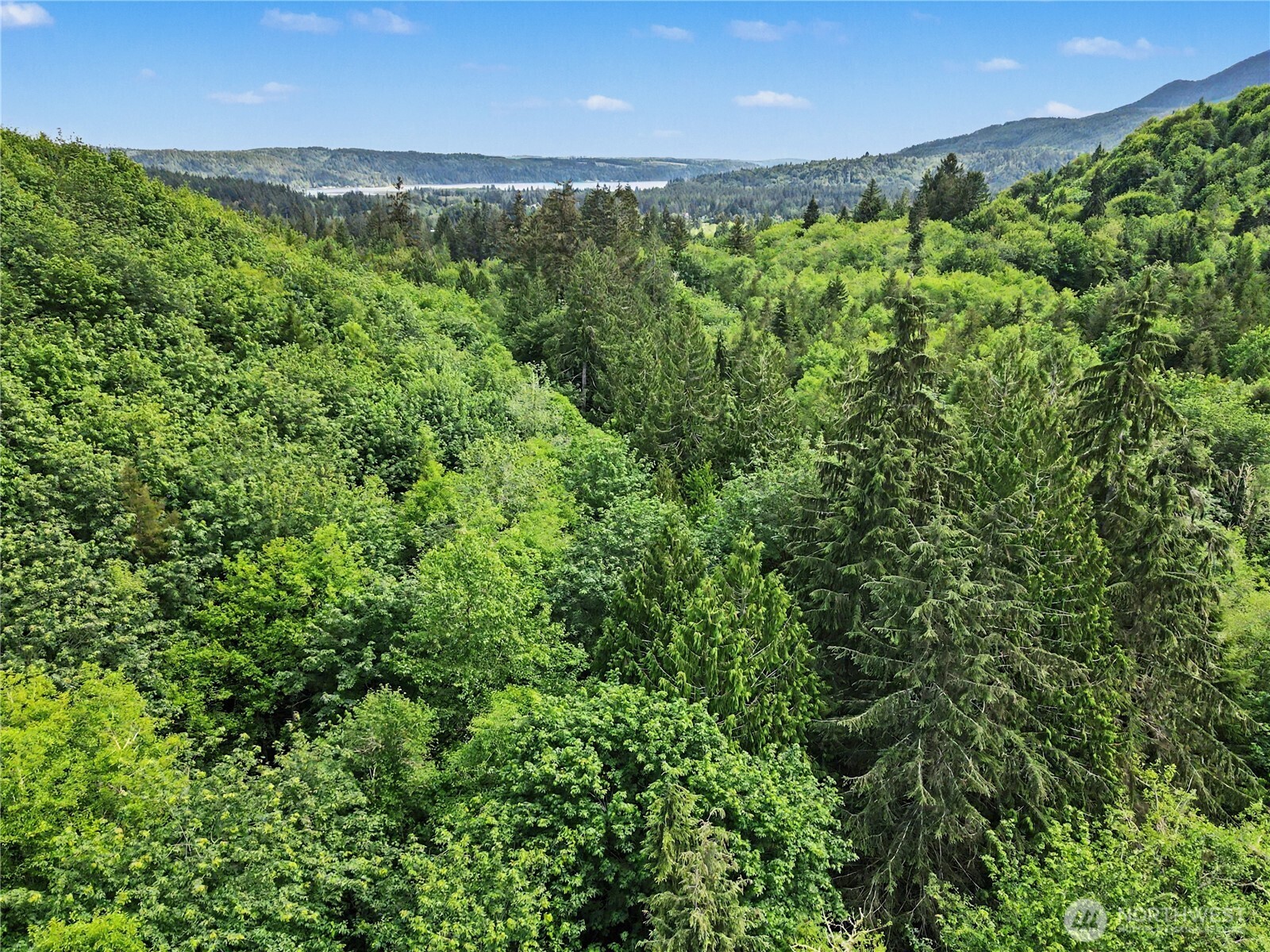 0 Wildwood Road Quilcene, WA 98376 - Photo 16 of 36