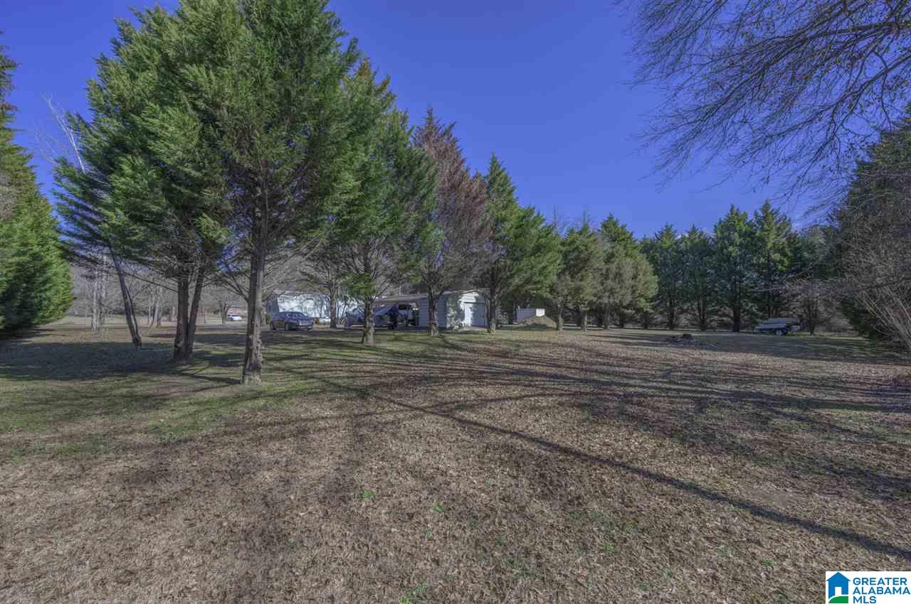 270 Spearman Street Wilsonville, AL 35186 - Photo 7 of 21