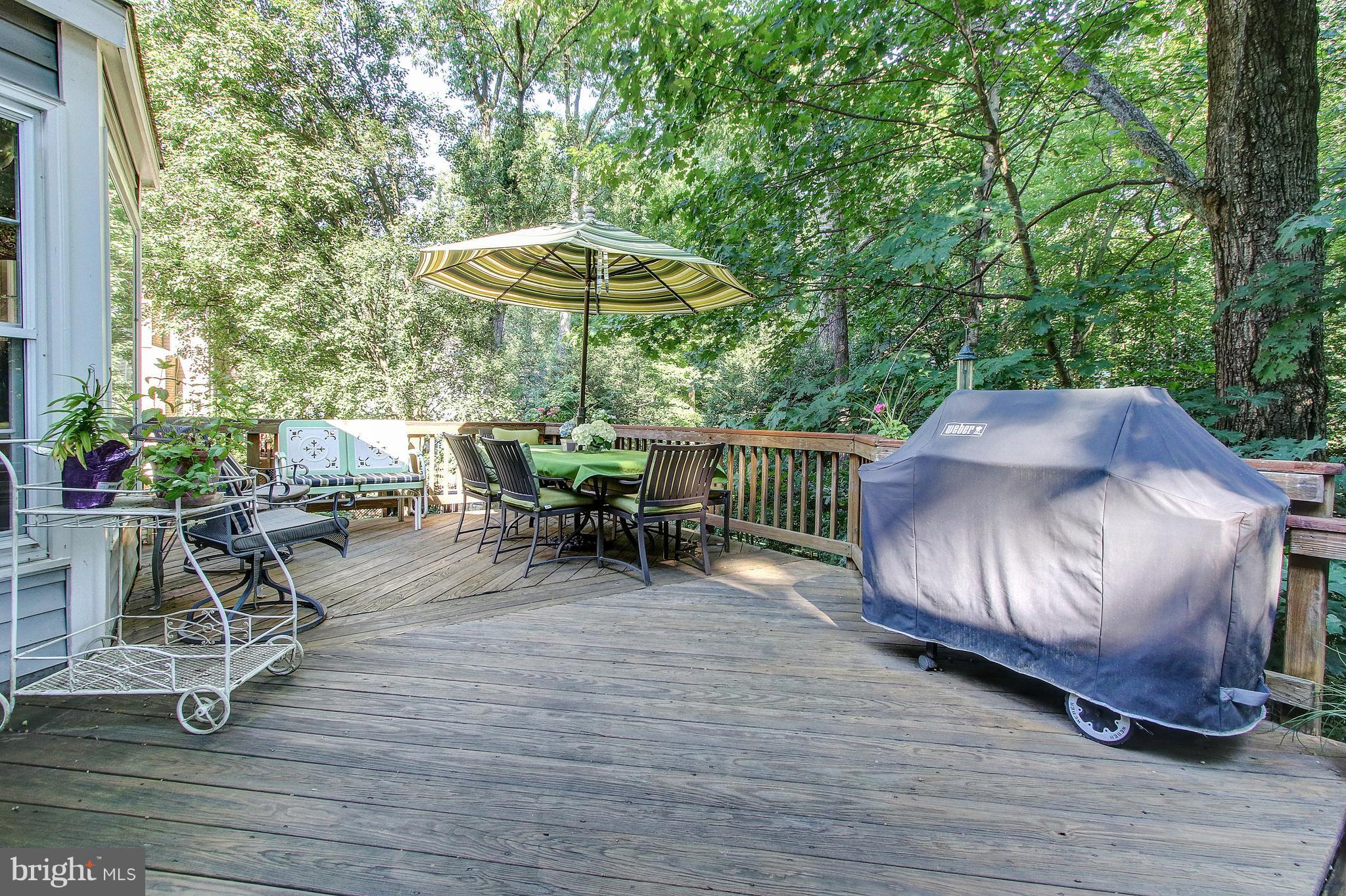 11898 Fawn Ridge Lane Reston, VA 20194 - Photo 28 of 30 Deck off Family Room