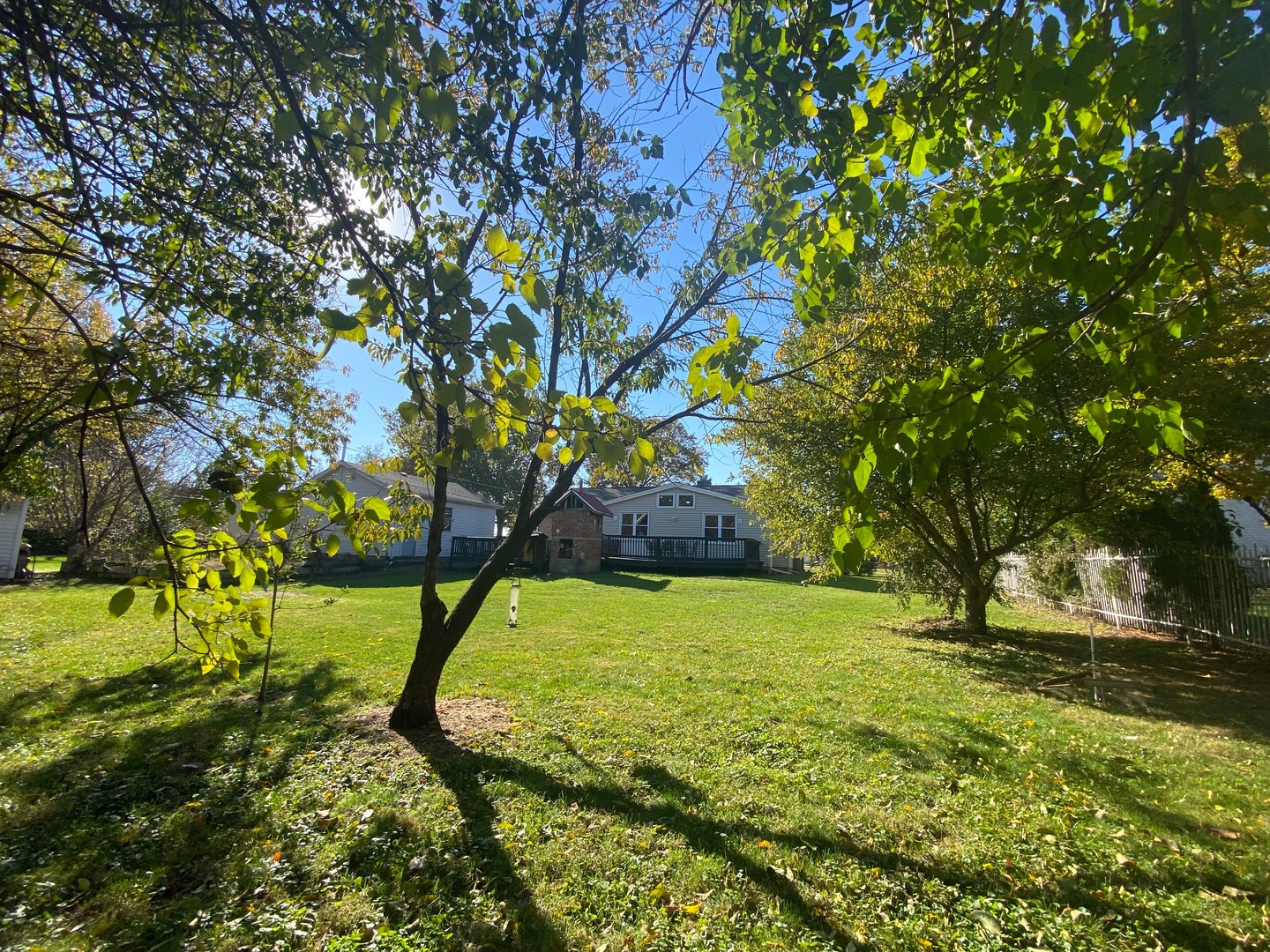 310 West Rand Road Mount Prospect, IL 60056 - Photo 24 of 26 a view of yard with tree