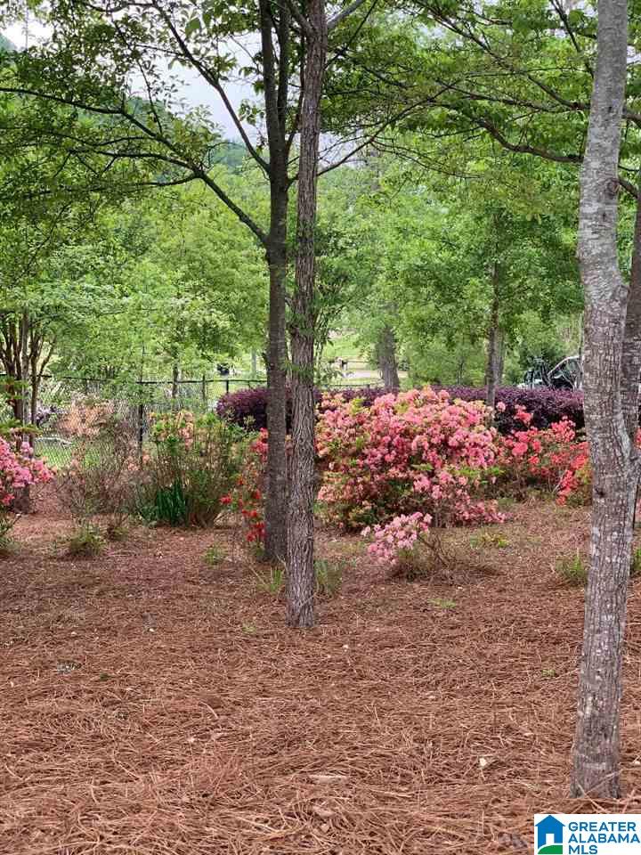 116 Lock 1 Road Ashville, AL 35953 - Photo 50 of 50