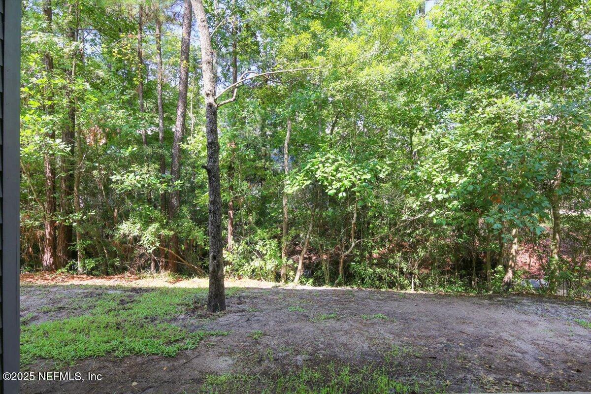 4182 Quiet Crk Loop Middleburg, FL 32068 - Photo 29 of 30 a view of a trees with a trees