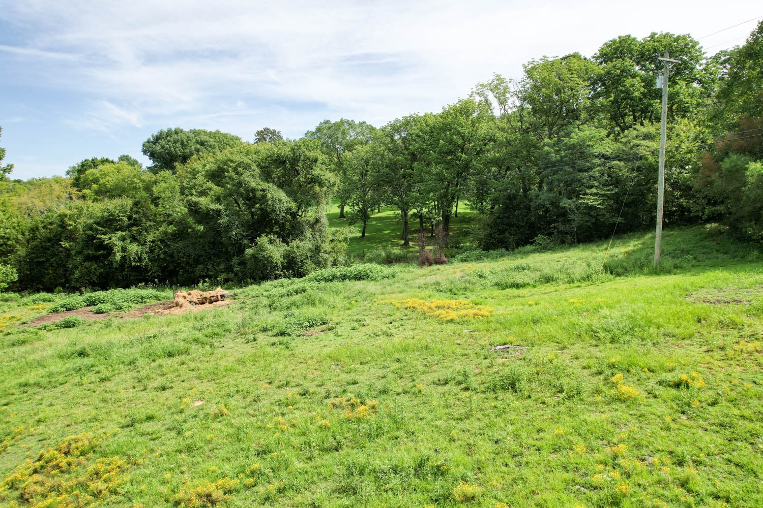 5088 Franklin Road Lebanon, TN 37090 - Photo 41 of 44 a backyard of a house with lots of green space