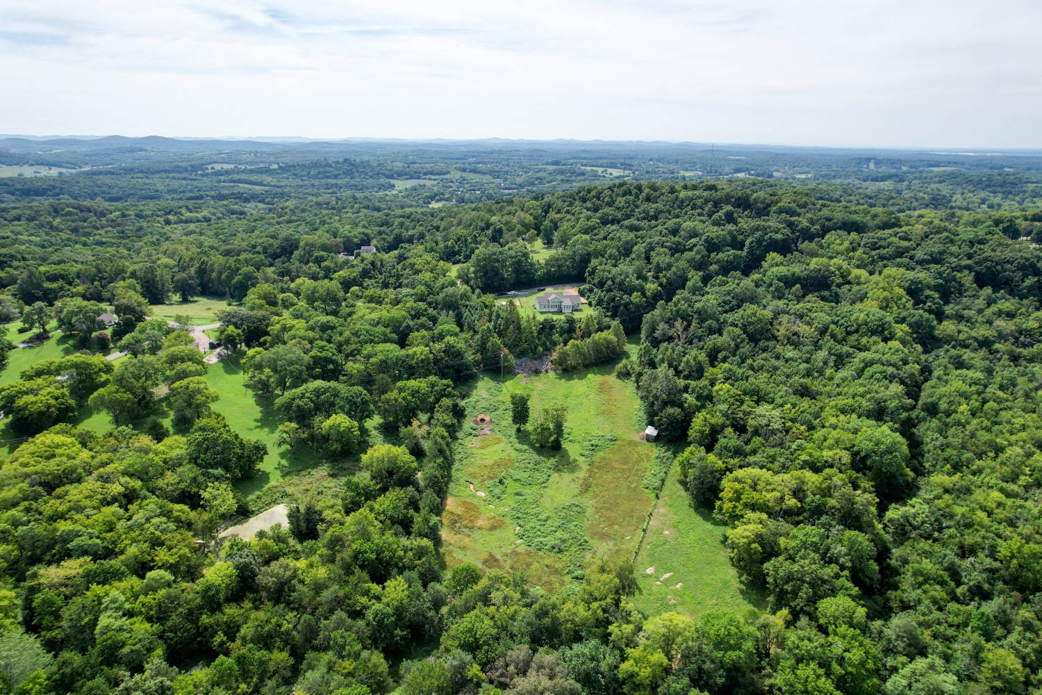 5088 Franklin Road Lebanon, TN 37090 - Photo 9 of 44 a view of a lush green forest with trees and houses