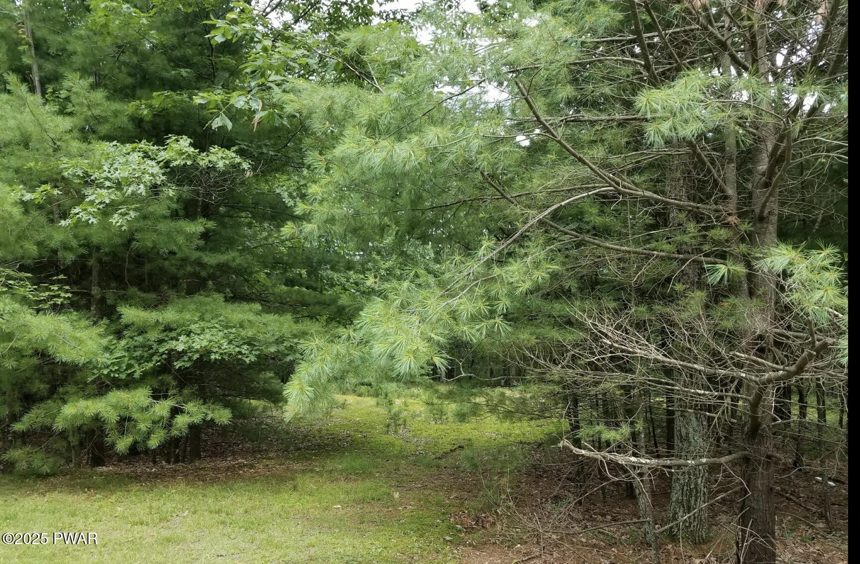 2.84-acres Butchs Road Hawley, PA 18428 - Photo 4 of 5