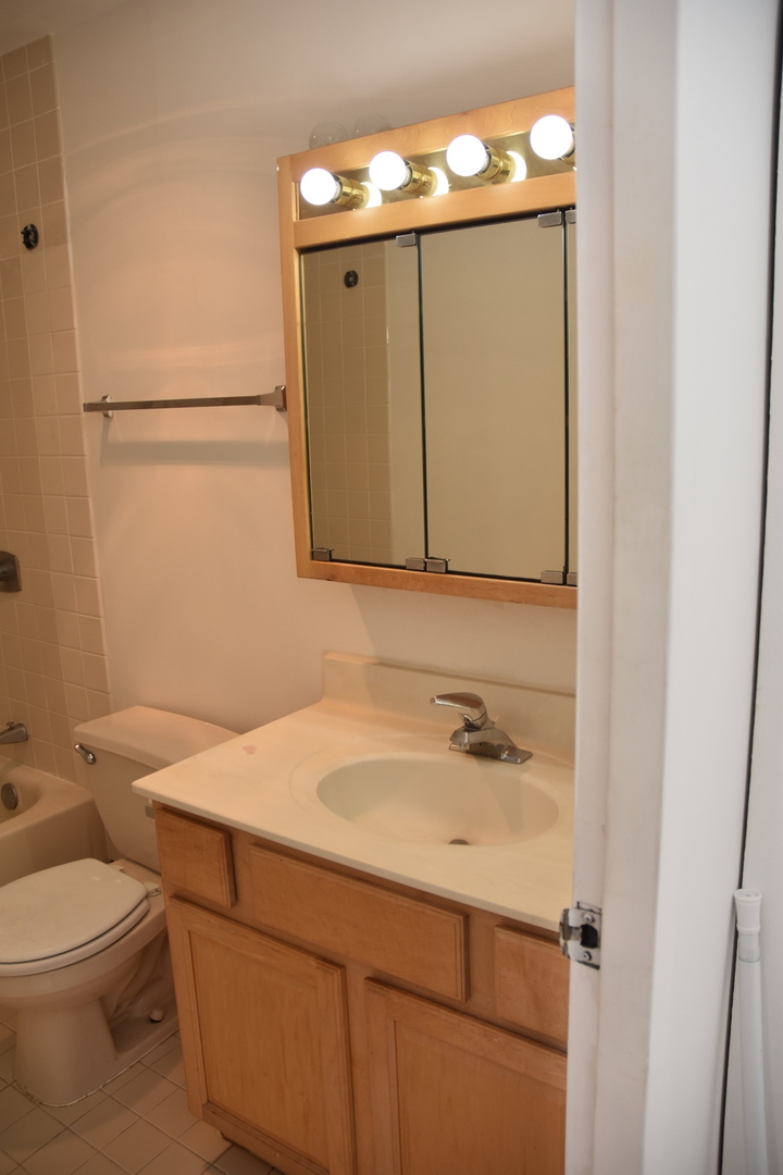 2605 South Indiana Avenue, Unit 2008 Chicago, IL 60616 - Photo 21 of 25 a bathroom with a sink a toilet and mirror